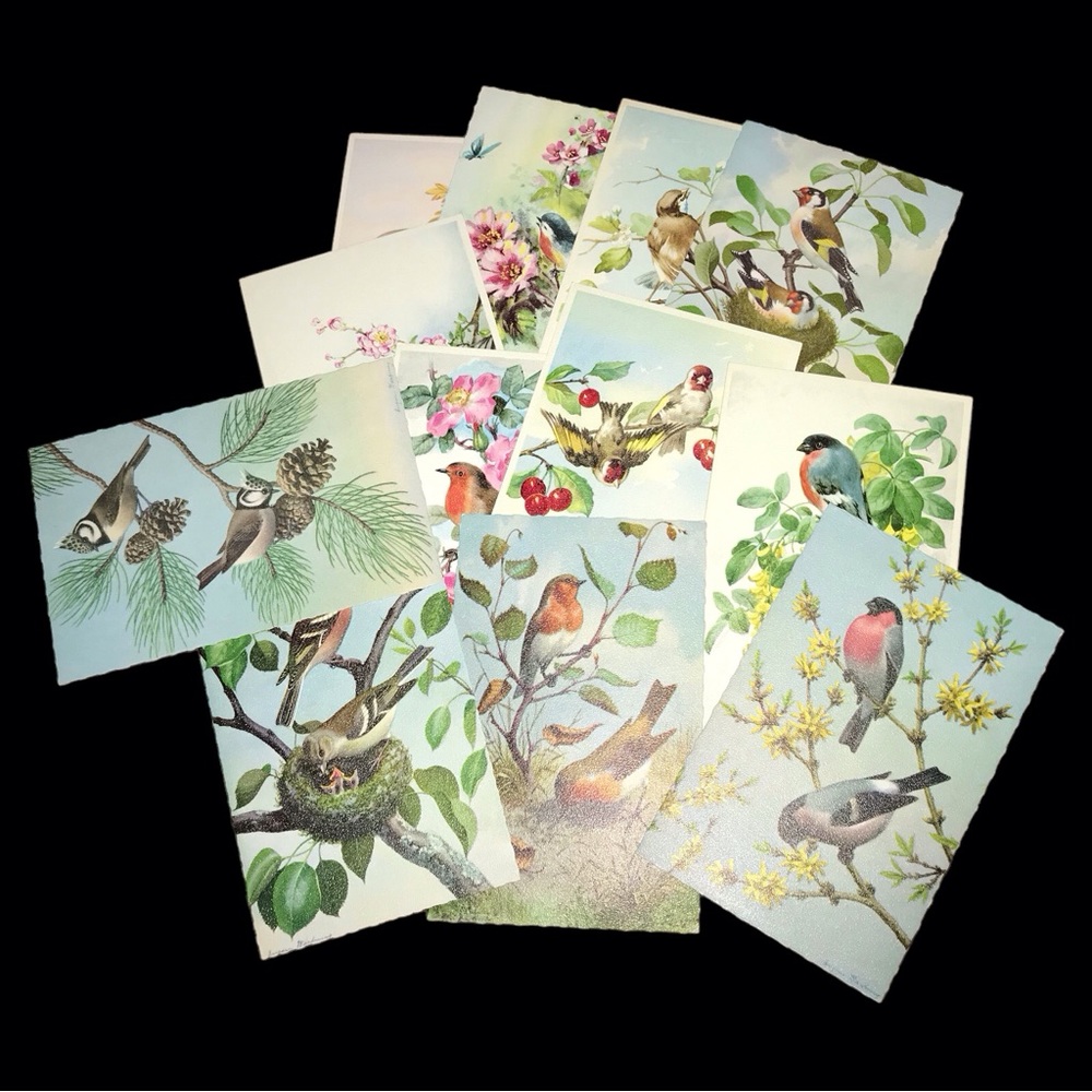 Vintage Lots Vintage Alfred Mainzer Bird Postcards
